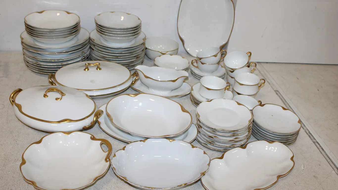 Haviland Limoges China