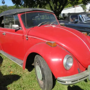VW Bug
