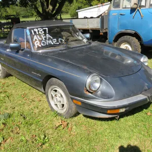 Alfa Romero Spider Veloce