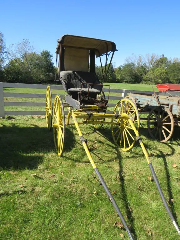 Victorian Buggy