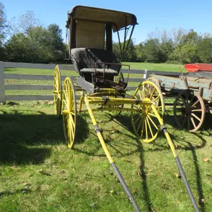 Victorian Buggy
