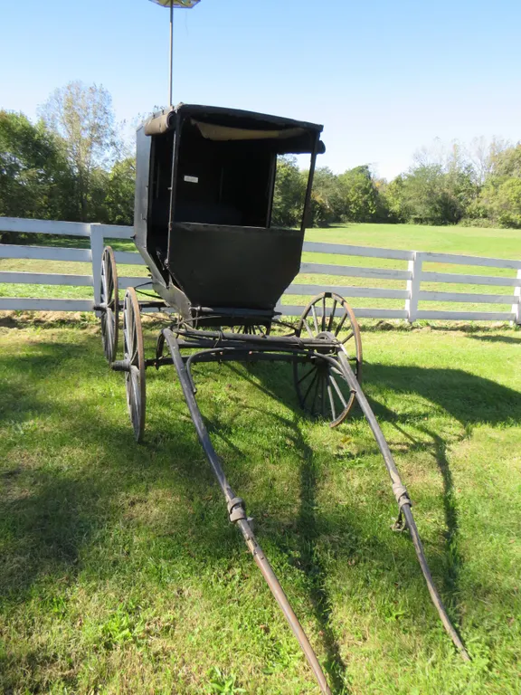 Amish Buggy