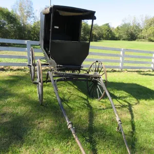 Amish Buggy