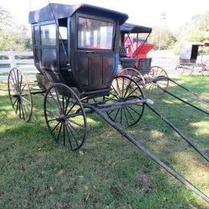 Victorian Carriage