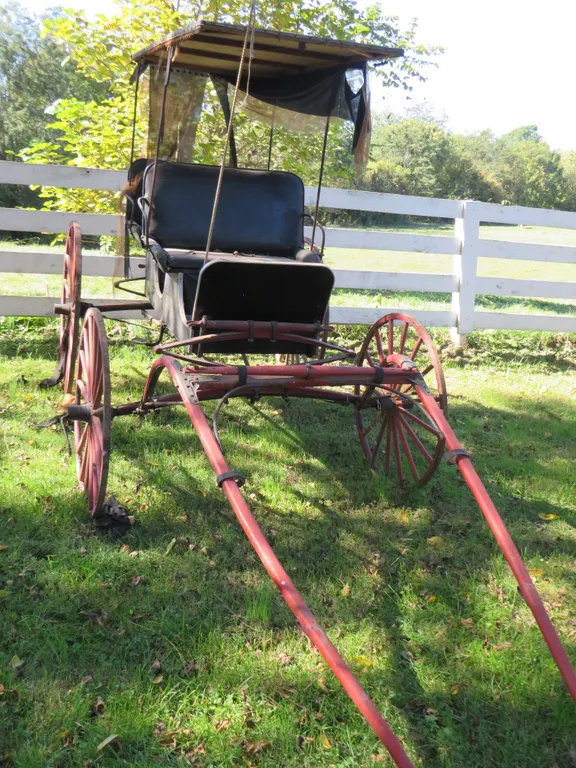 Buggy