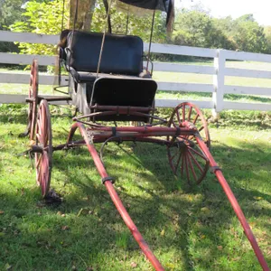 Antique Buggy
