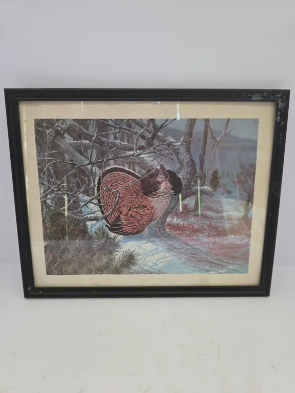 Framed Wildlife / Turkey Art Print