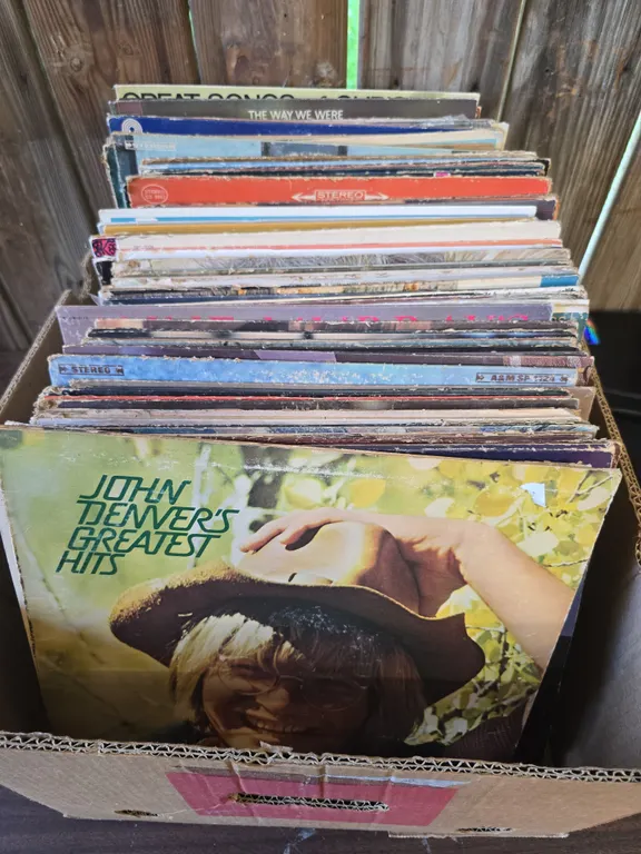 Assorted Vinyl Records Lot
