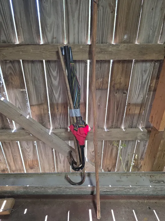 Umbrella & Umbrella Handles with Walking Stick