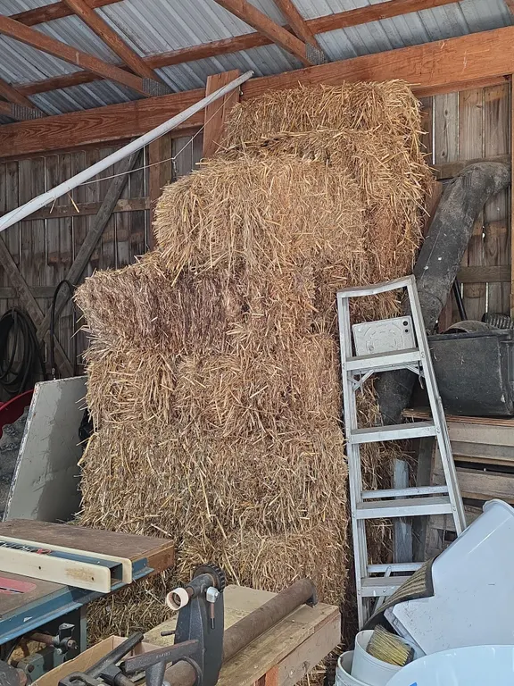 Over 25 Bales of Straw
