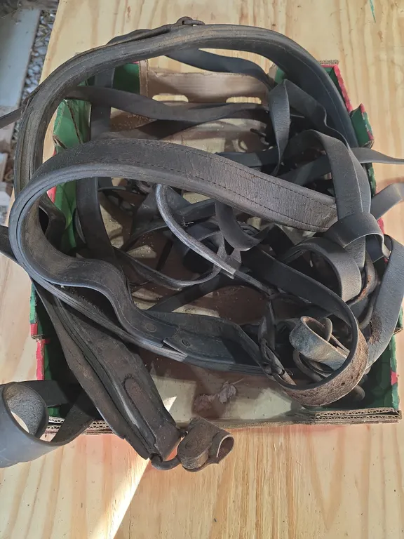 Assorted Belts & Straps