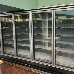 Hussmann model:RL-2 U, Remote frozen food doors with solid shelving, lighting, 208v 1 phase