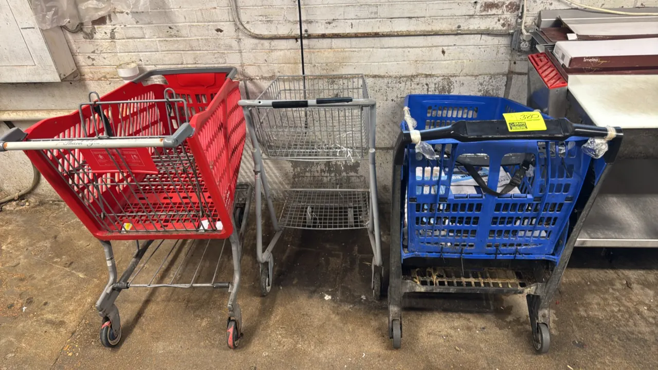 Poly and metal shopping carts. Includes red poly hybrid cart with metal frame, two-tier wire cart, and blue poly cart. Mounted on casters. Contents no