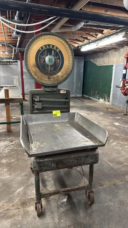 Toledo 250 lb dial platform scale. Features mechanical dial indicator, dual tare beams, and stainless steel platform pan. Mounted on a mobile base wit