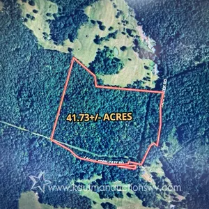 41+/- Acres Braxton County Land