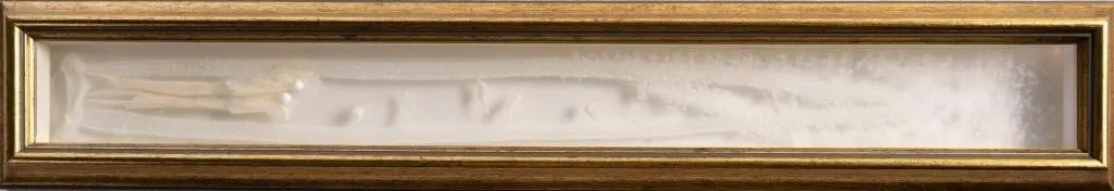 ROSELINE JOSEPH "NOTRE SENTIER" BONE SHADOW BOX