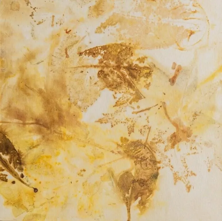 WENDY FELDBERG "BOTANICA: PRUNUS 1" MONOTYPE
