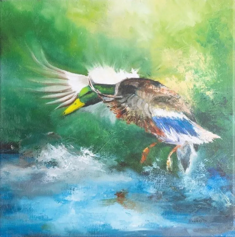 BLANCHET MALLARD DUCK CANVAS PRINT