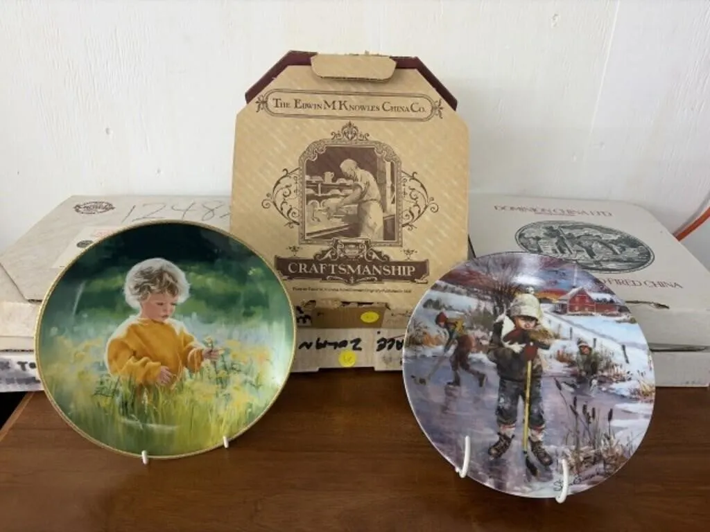 6 Assorted Collector Plates