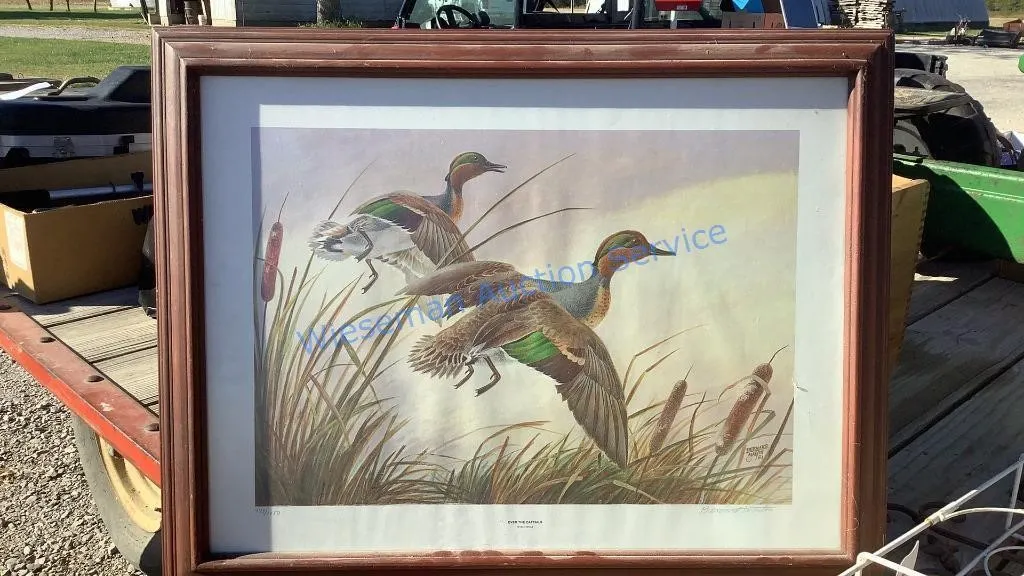 DUCKS UNLIMITED OVER THE CATTAILS PRINT