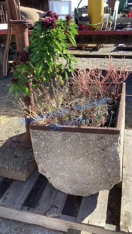 CONCRETE PLANTER BOX WITH BASIL PLANT