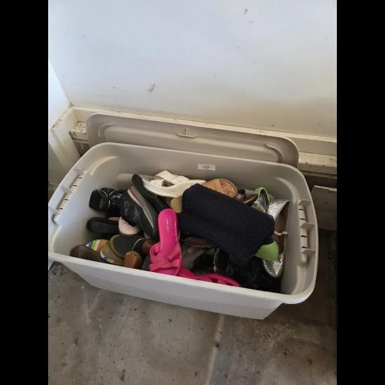 Womens Shoes Lot - Assorted Styles Accessory