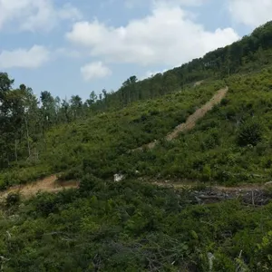 Acreage for Sale in Sneedville, TN