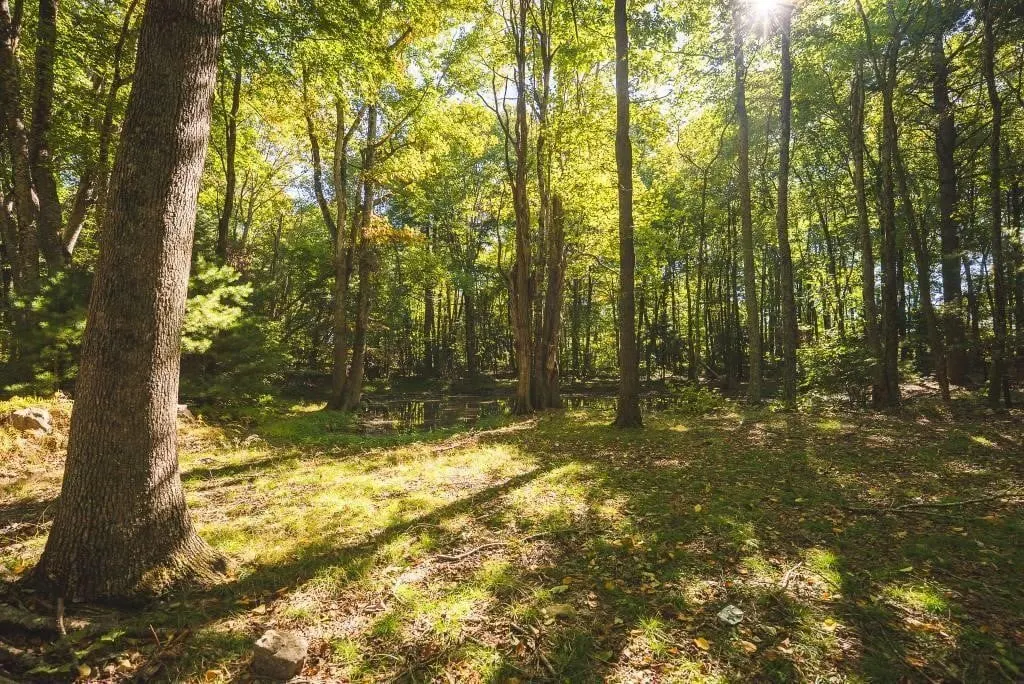 Recreational Land for Sale in Hiwassee, VA