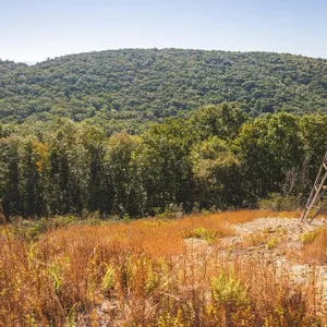Recreational Land for Sale in Hiwassee, VA