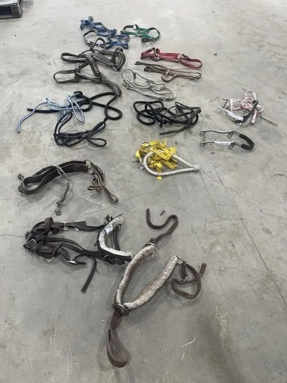 Halters, Lead Ropes, Headstalls