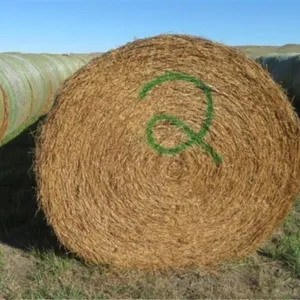 Alfalfa (Stack #2)