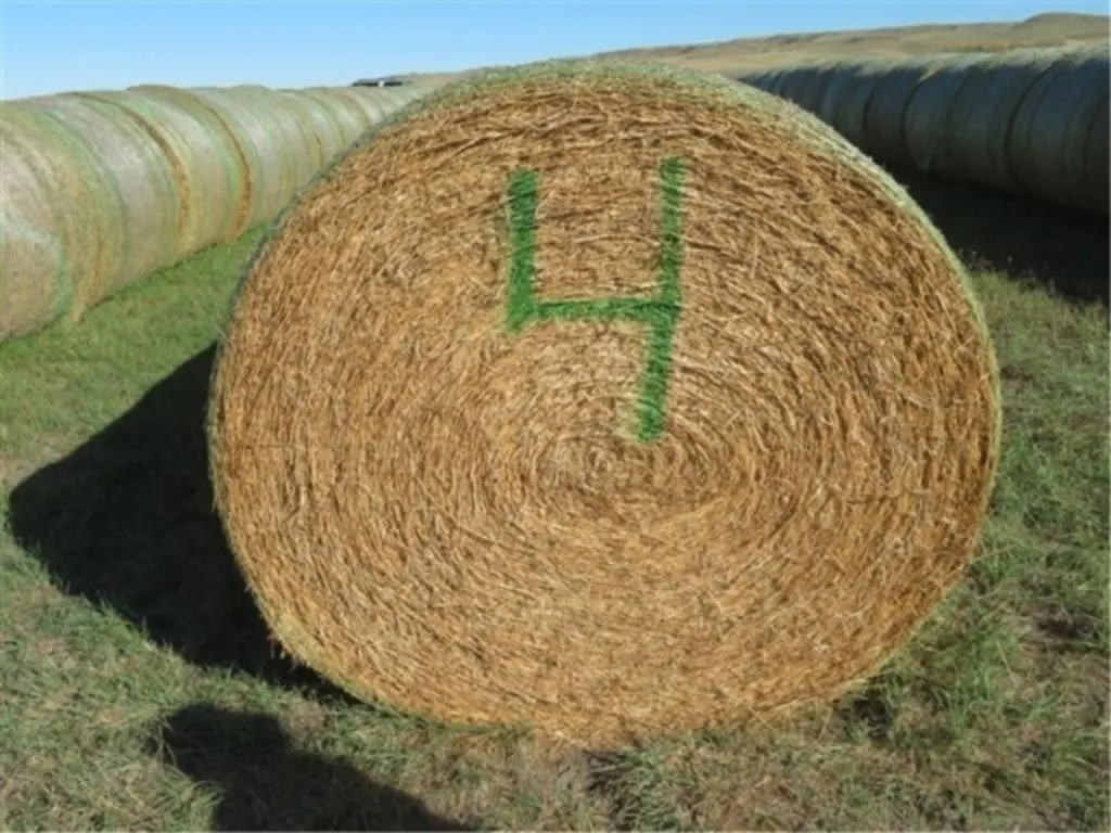 Alfalfa (Stack #4)