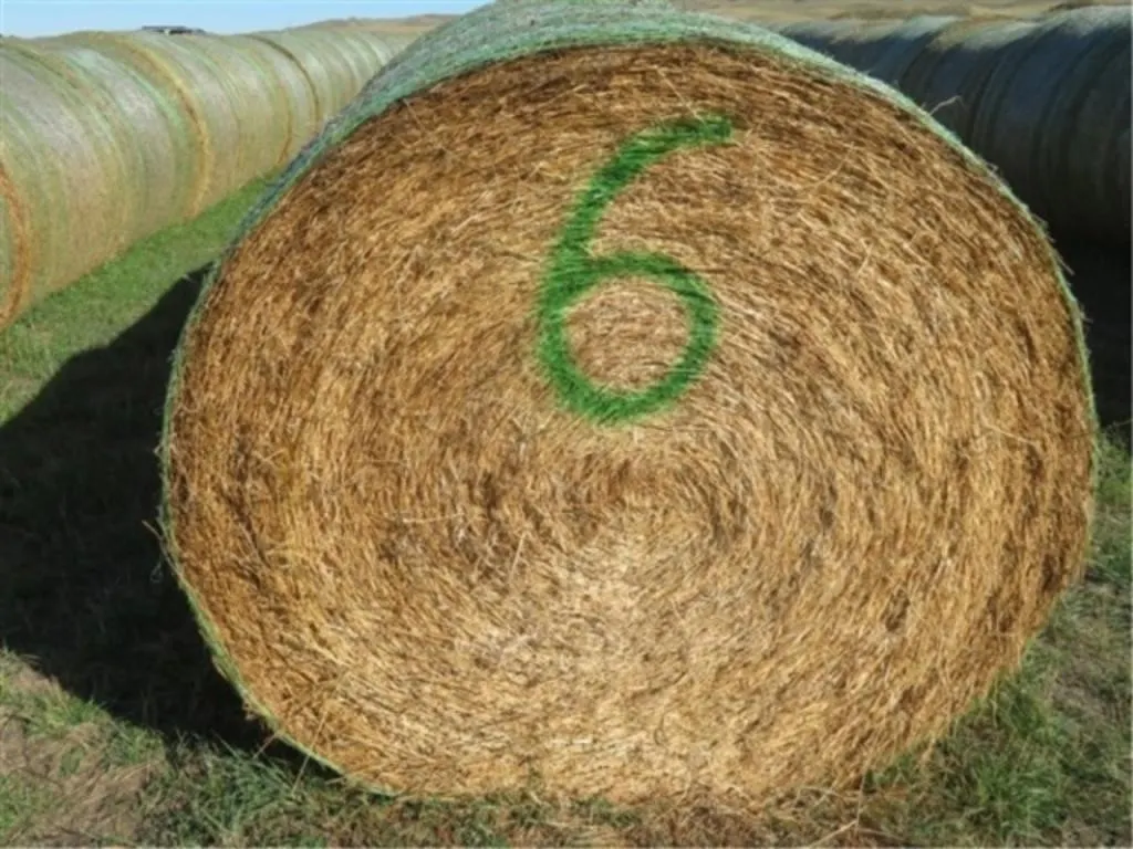 Alfalfa (Stack #6)