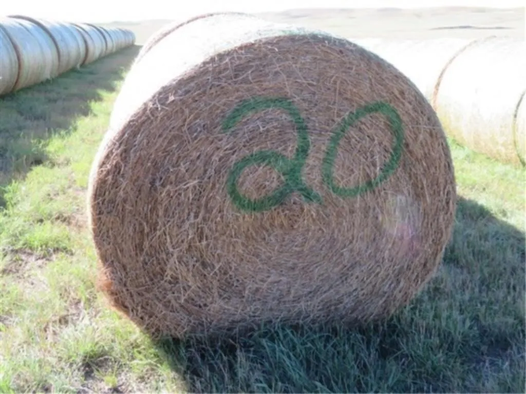 Alfalfa (Stack #20)