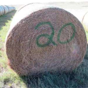 Alfalfa (Stack #20)