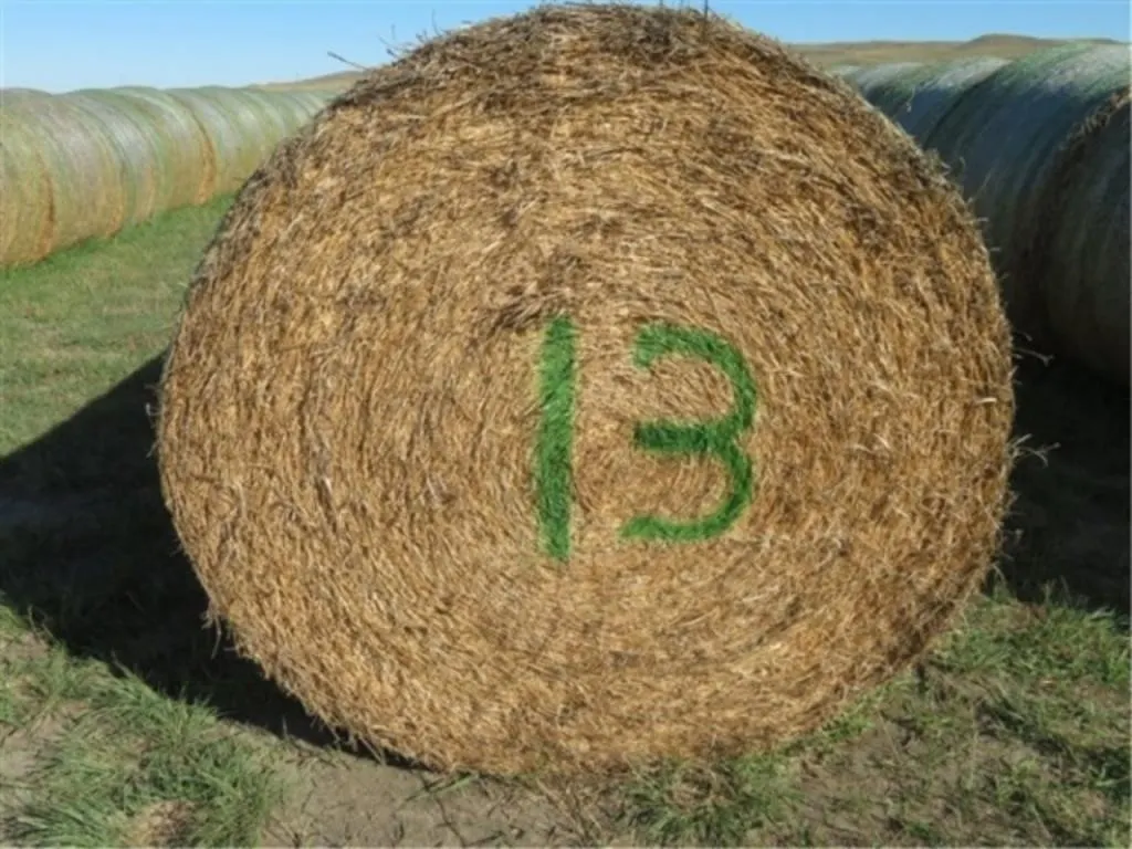 Alfalfa (Stack #13)