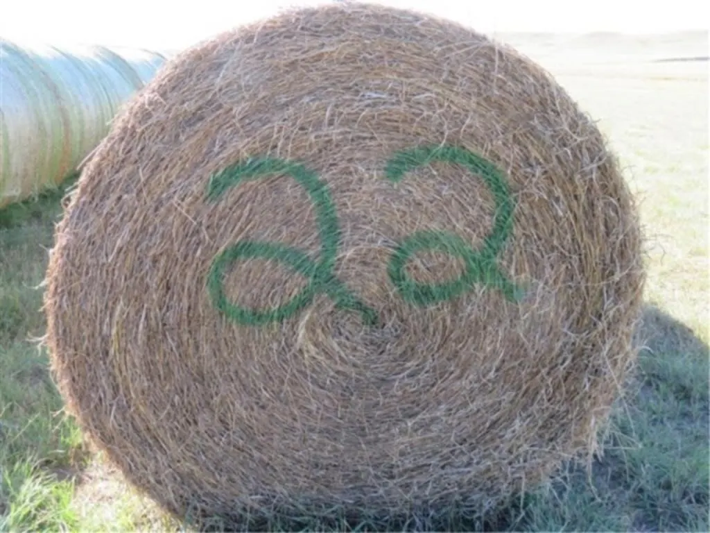 Alfalfa (Stack #22)