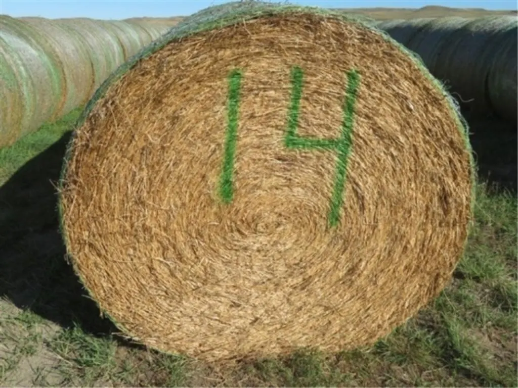 Alfalfa (Stack #14)