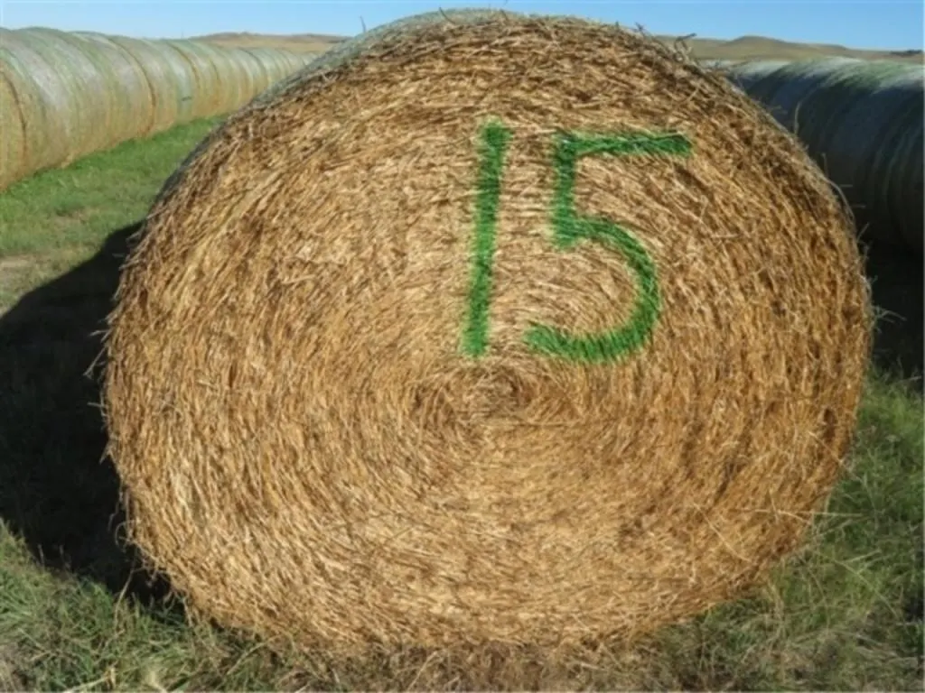 Alfalfa (Stack #15)