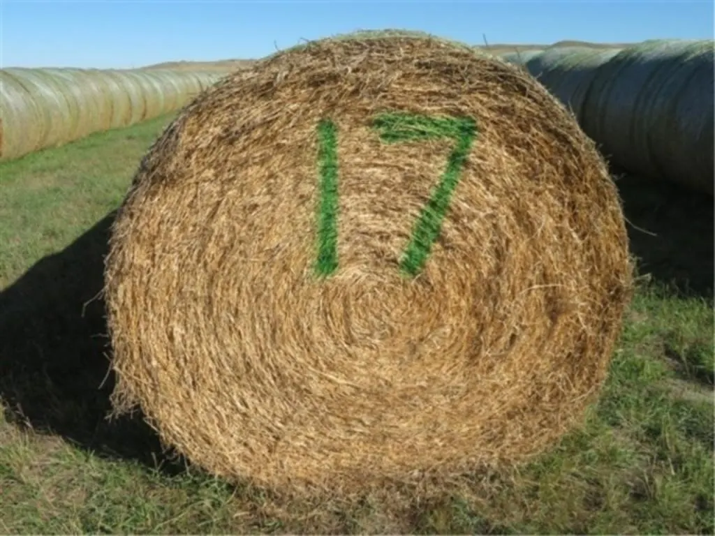 Alfalfa (Stack #17)