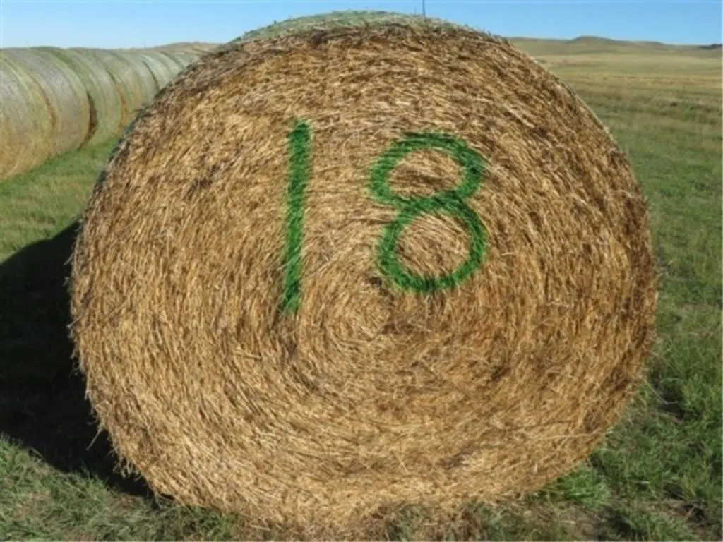 Alfalfa (Stack #18)
