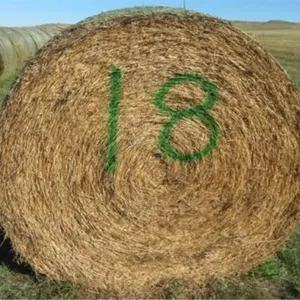 Alfalfa (Stack #18)