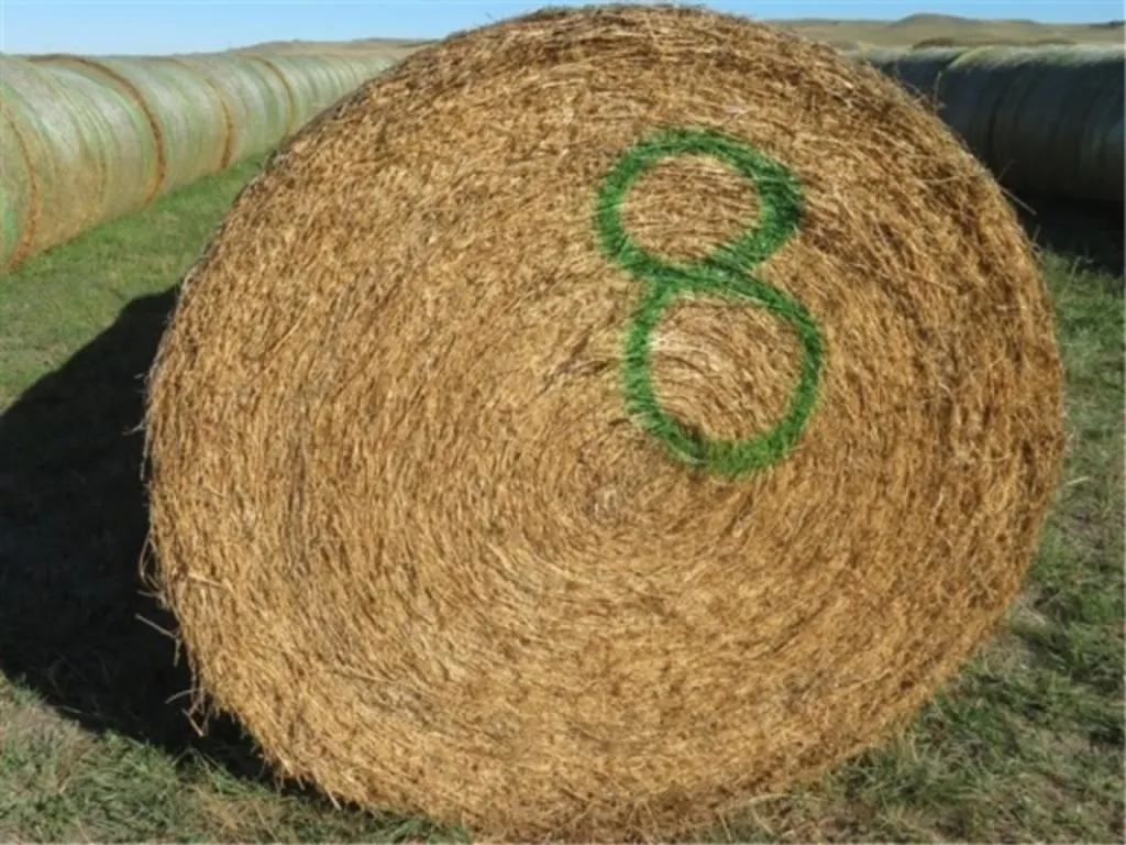 Alfalfa (Stack #8)