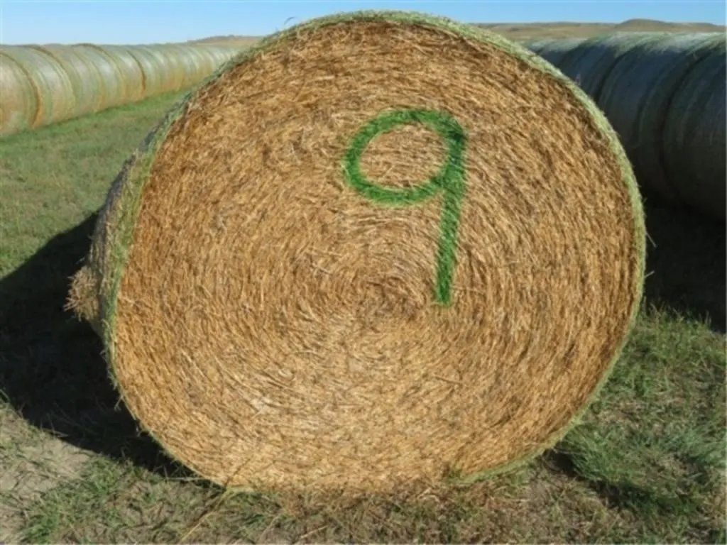 Alfalfa (Stack #9)
