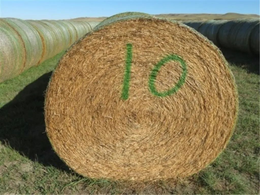 Alfalfa (Stack #10)