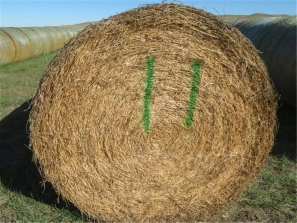 Alfalfa (Stack #11)