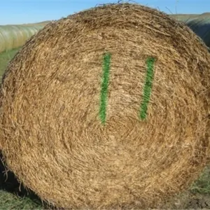Alfalfa (Stack #11)