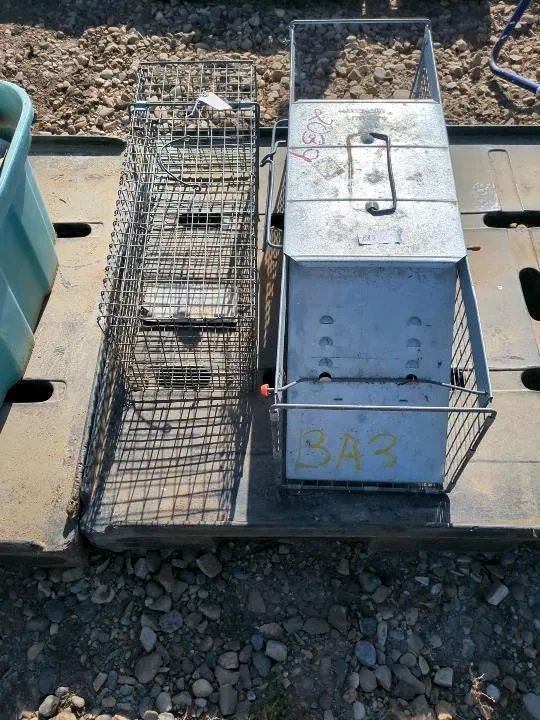 2 Live Animal Traps