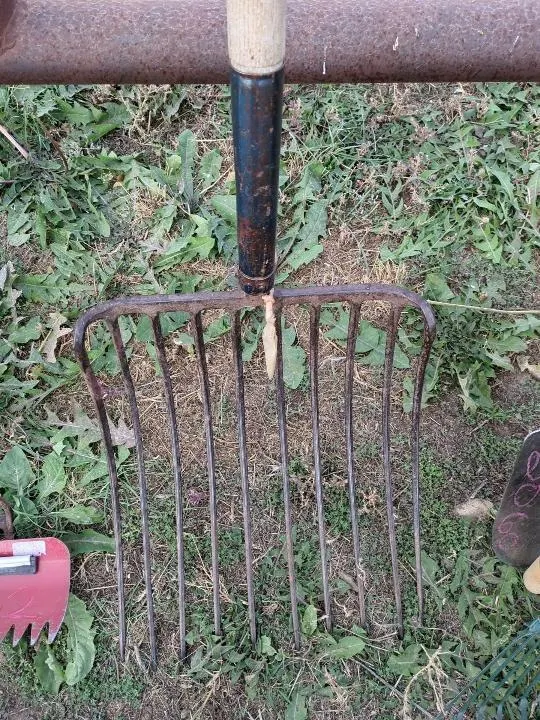 Large Pitch Fork