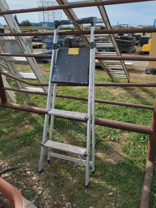 2 Step Ladder